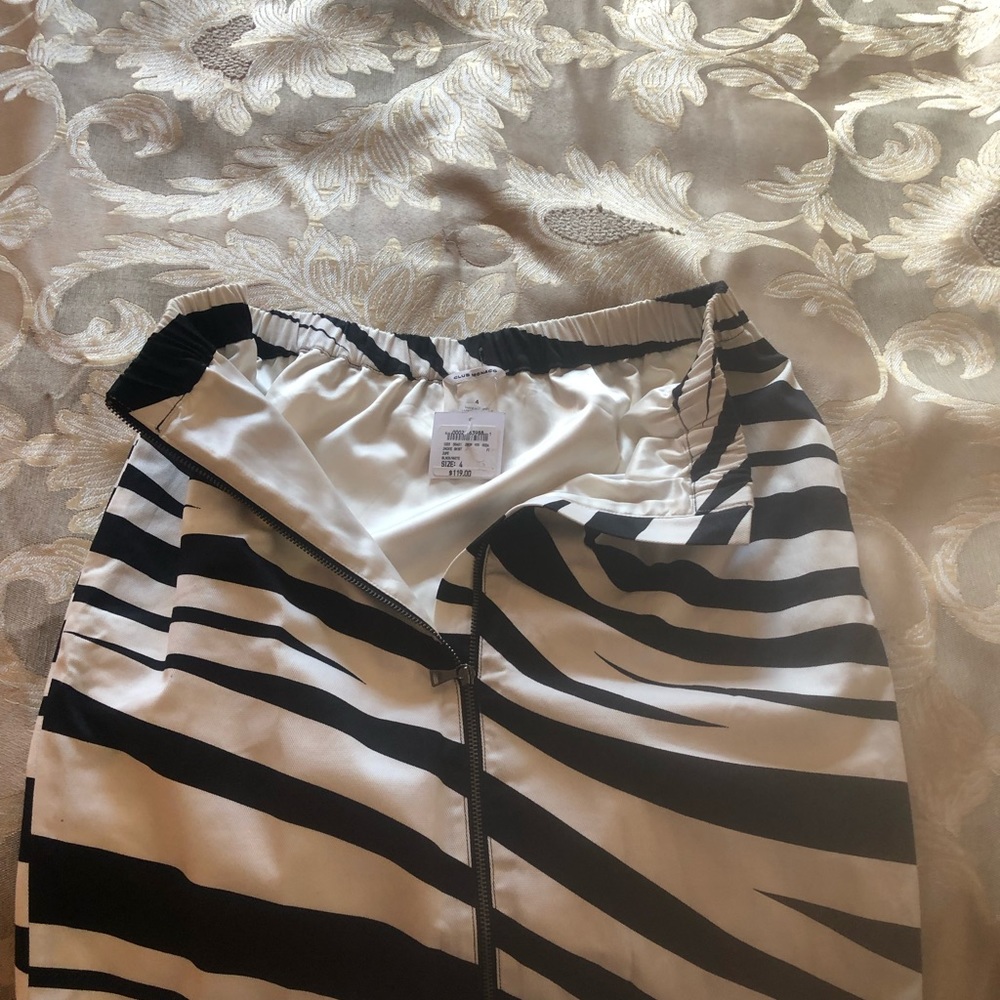 NWT skirt
